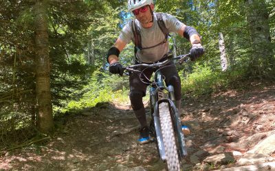 MtB – Freiburg – Rosskopf – Borderline
