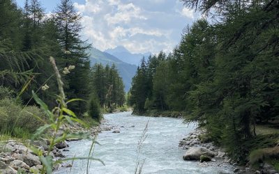 MtB – Aosta – Balcon de Ferret Supertour
