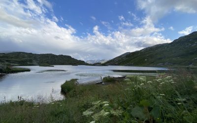 Tag 28 – Täsch – Simplon – San Bernardino