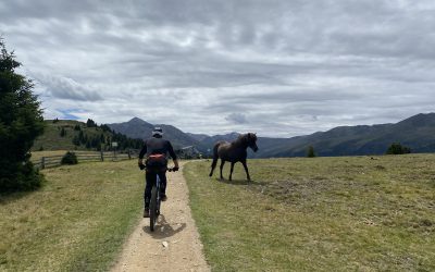 Tag 46 – Graun