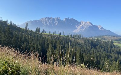 Tag 59 – Campitello di Fassa – Latemar-Umrundung