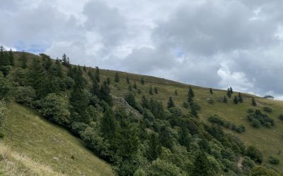 Tag 68 – Schauinsland – Belchen – Freiburg
