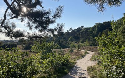 16.09.2023 – Gut Basthorst – Oberhavenbeck