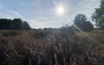 17.09.2023 – Oberhaverbeck – Rhauderfehn
