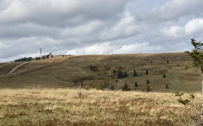 30.09.2023 – Schauinsland- Lahr