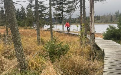Wandern – Harz – Torfhaus -Oderteich