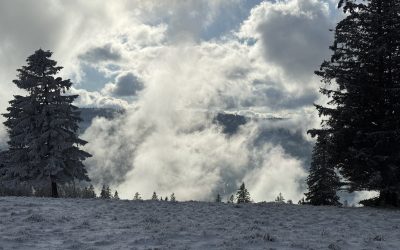 19.1.2024 – Stollenbach – Schauinsland
