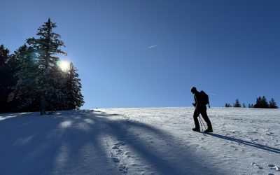 20.2.2024 – St. Wilhelmer Tal – Feldberg