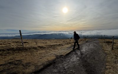 2.2.2024 – Menzenschwand und Höchenschwand