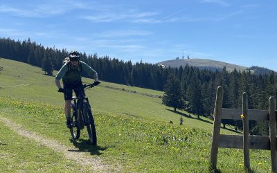 11.5.2024 – Schwarzwald – Oberried Schädelweg