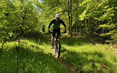 8.-11.5.05.2024 – Hexentrail, Gabler Eck, Schädelweg
