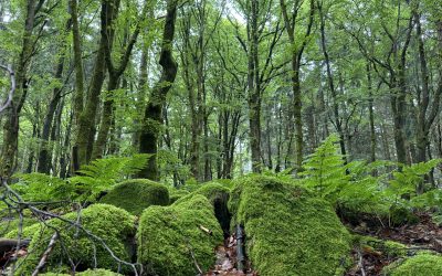 31.05.2024 – Hammelburg – Klosterkreuzeck