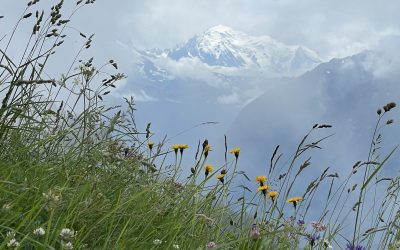 13.3.2024 – Crans Montana – Lavey-les-Baines – Grand Saint Bernard