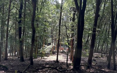 23.-25.8.2024 Pfalz