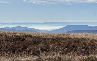 15.11.-17.11.2024 – Schauinsland – Feldberg – Kandel