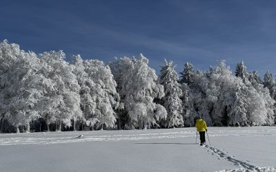 4.1.2025 – Kandel – Schneeschuh