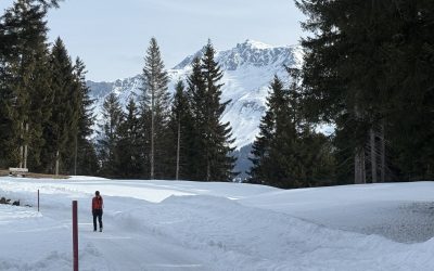 Geschützt: 23.2.2025 – Thusis – Lenzerheide – Oberstaufen