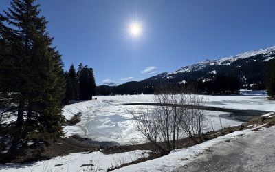 Geschützt: 18.2.-21.2.2025 Schweinfurt – München – Wangen – Lenzerheide -Thusis