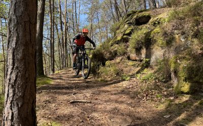 19.+20.4.2025 – Pfalz – Busenberg