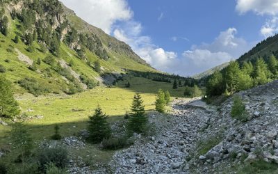 23.07.2025 – Graun – Stilfser Joch (30)