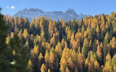 15.-16.10.2025 Klosters – Goldrain