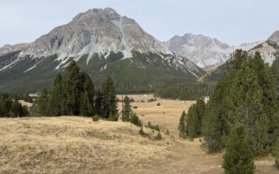 19.10.2025 – Goldrain – Fanas